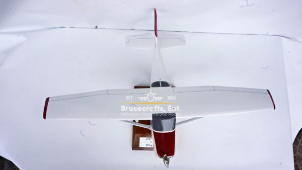 Cessna 172 Skyhawk OE-DTA - Image 9